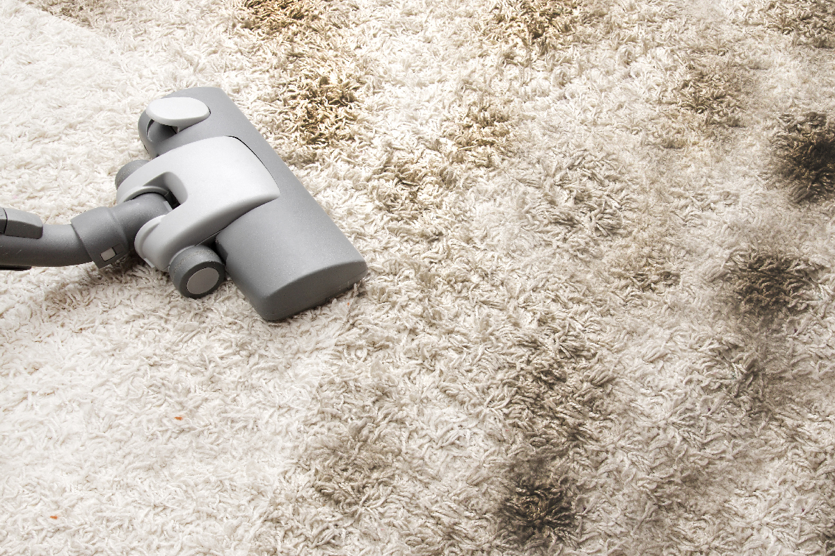 ¿Por qué mi purificador de aire Shark siempre está rojo? [Is It Normal?]