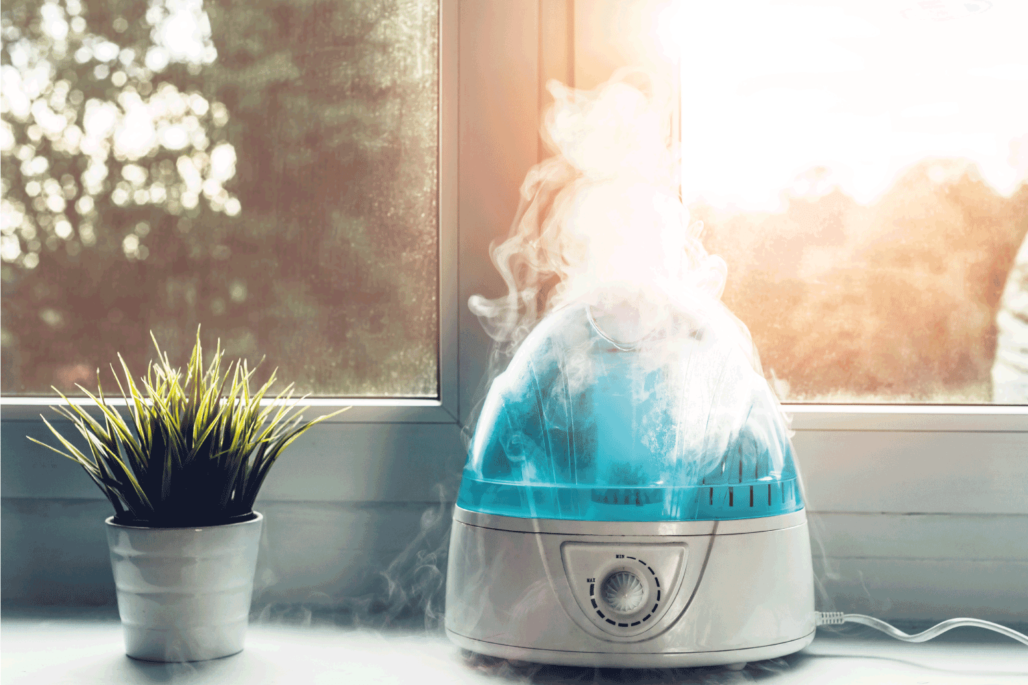 ¿Se puede usar un humidificador sin filtro?