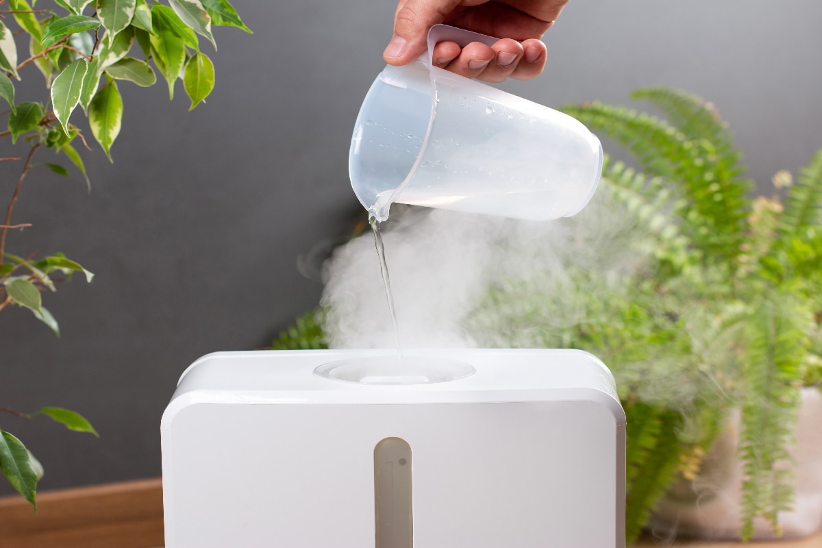 Cómo llenar el humidificador ultrasónico [Quickly And Easily]