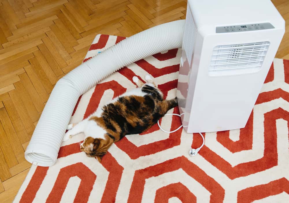 Utilice un aire acondicionado portátil como deshumidificador: una guía completa