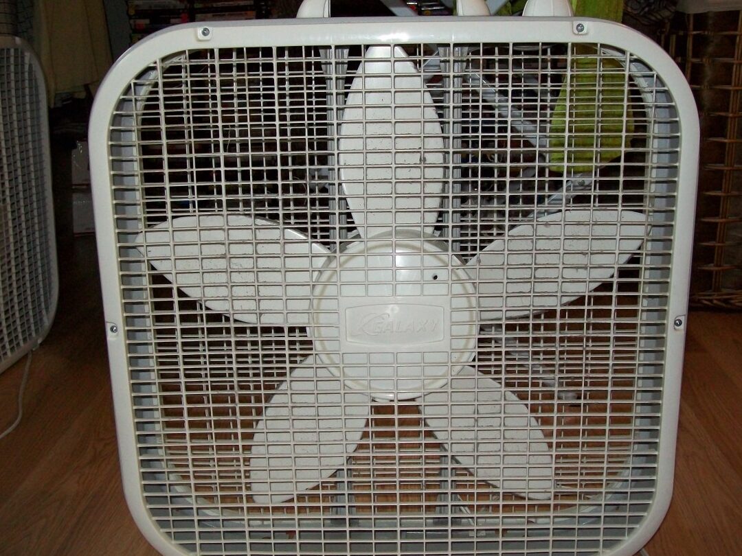 Cómo limpiar su ventilador de caja - Dengarden