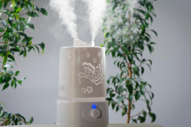¿Es mejor un humidificador o deshumidificador para alergias, resfriados...