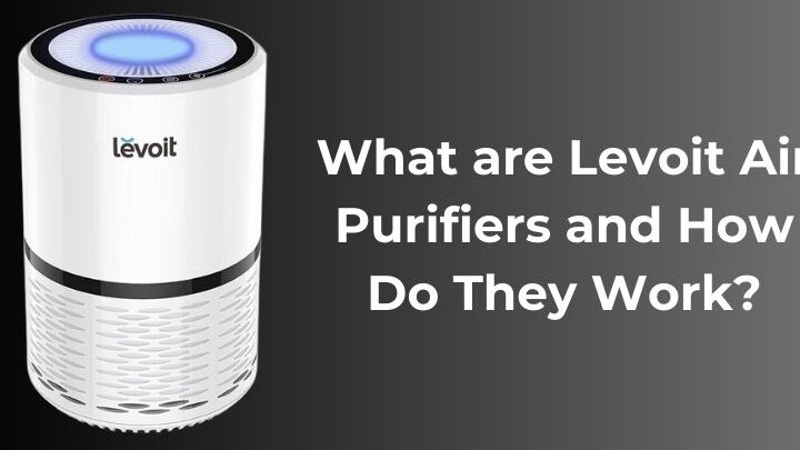 Purificadores de aire Levoit: respire más fácilmente con aire interior limpio (guía)