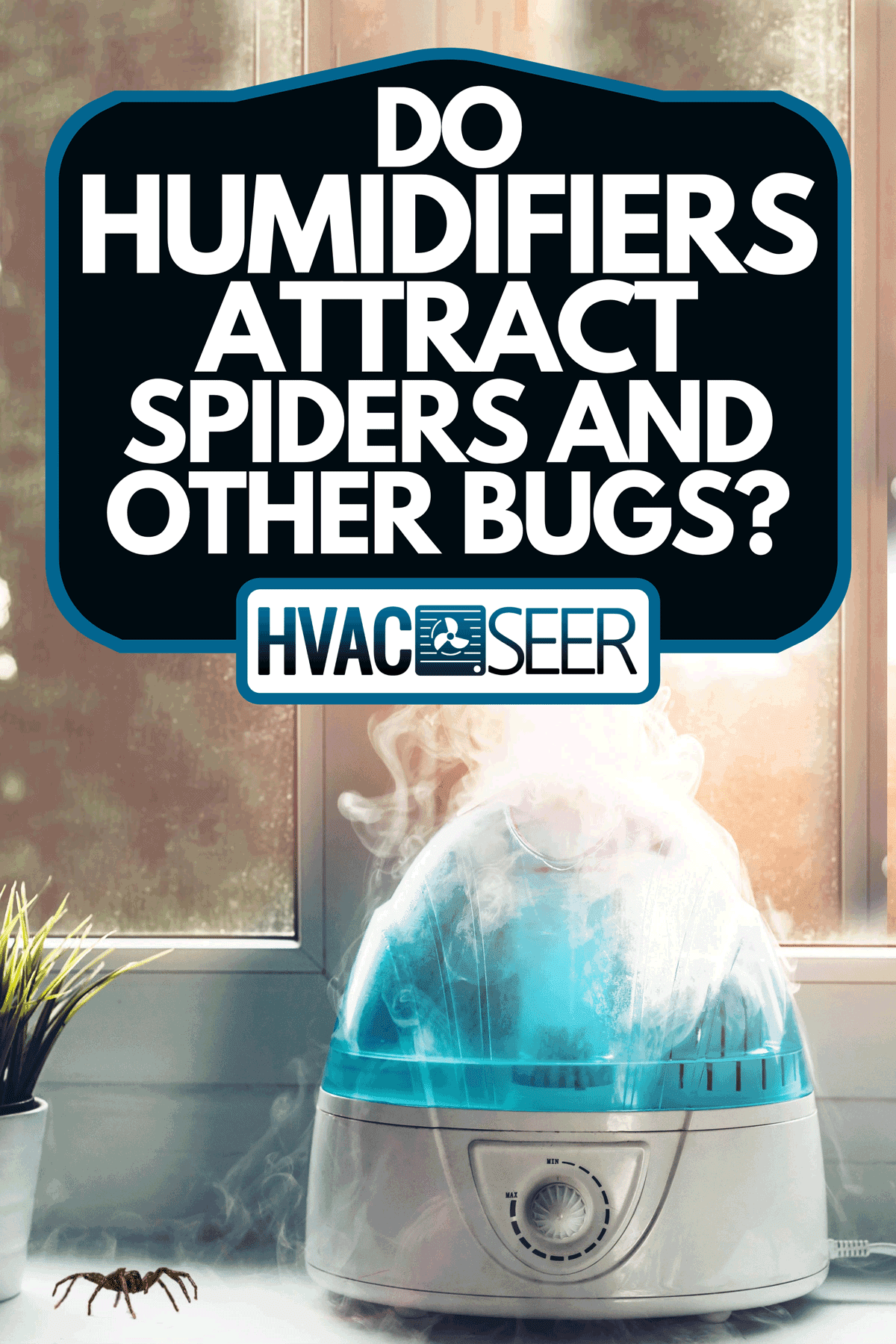 ¿Los humidificadores atraen arañas y otros insectos? ¿Los humidificadores atraen arañas y otros insectos?