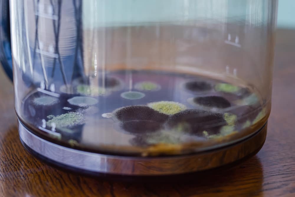 ¿Por qué tu humidificador huele mal y cómo solucionarlo? ¿Por qué tu humidificador huele mal y cómo solucionarlo?